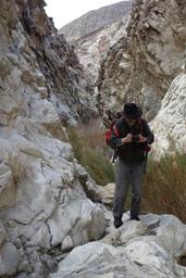 Jerry at the top of the narrows [sun feb 5 13:49:24 mst 2017]